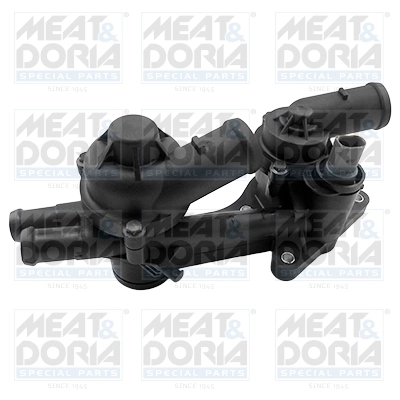 Thermostat, coolant